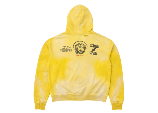 DESIRES ZIP-UP