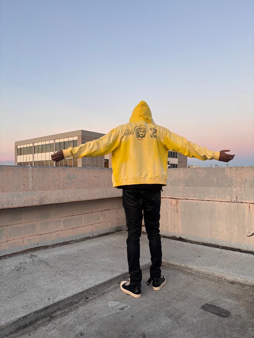 DESIRES ZIP-UP HOODIE