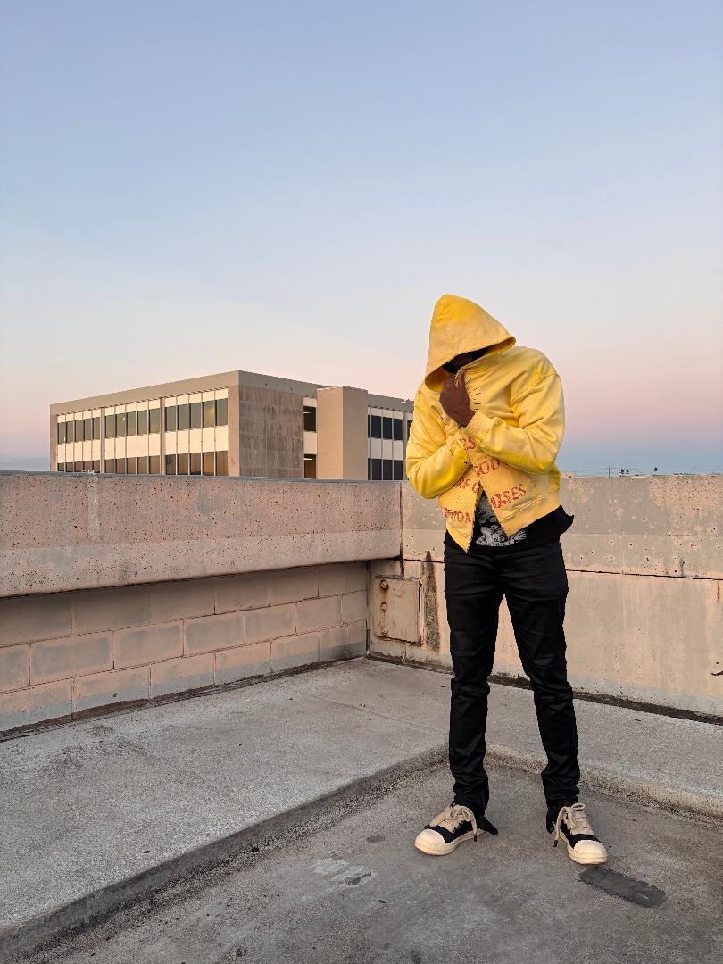 DESIRES ZIP-UP HOODIE